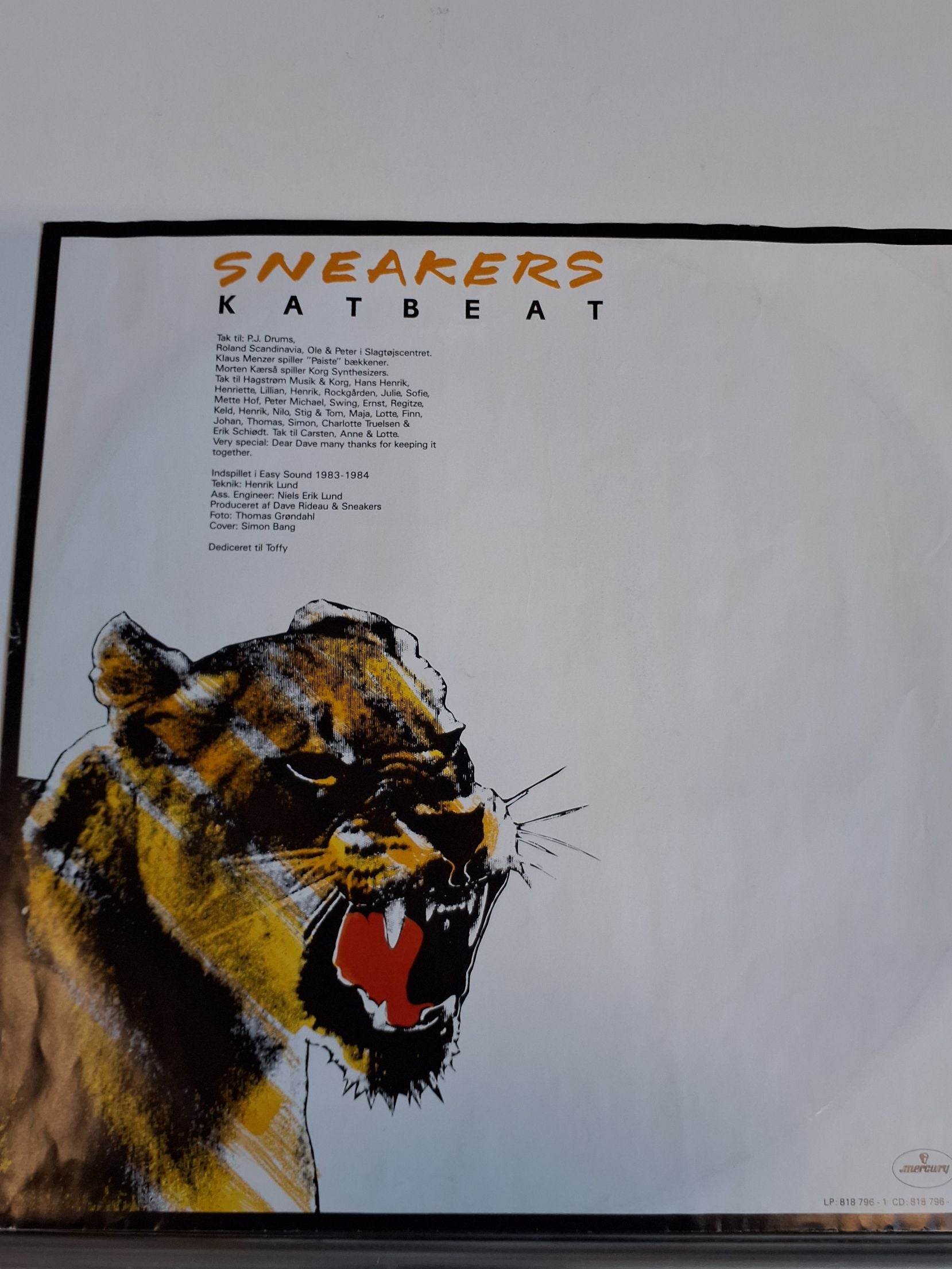 Sneakers Katbeat